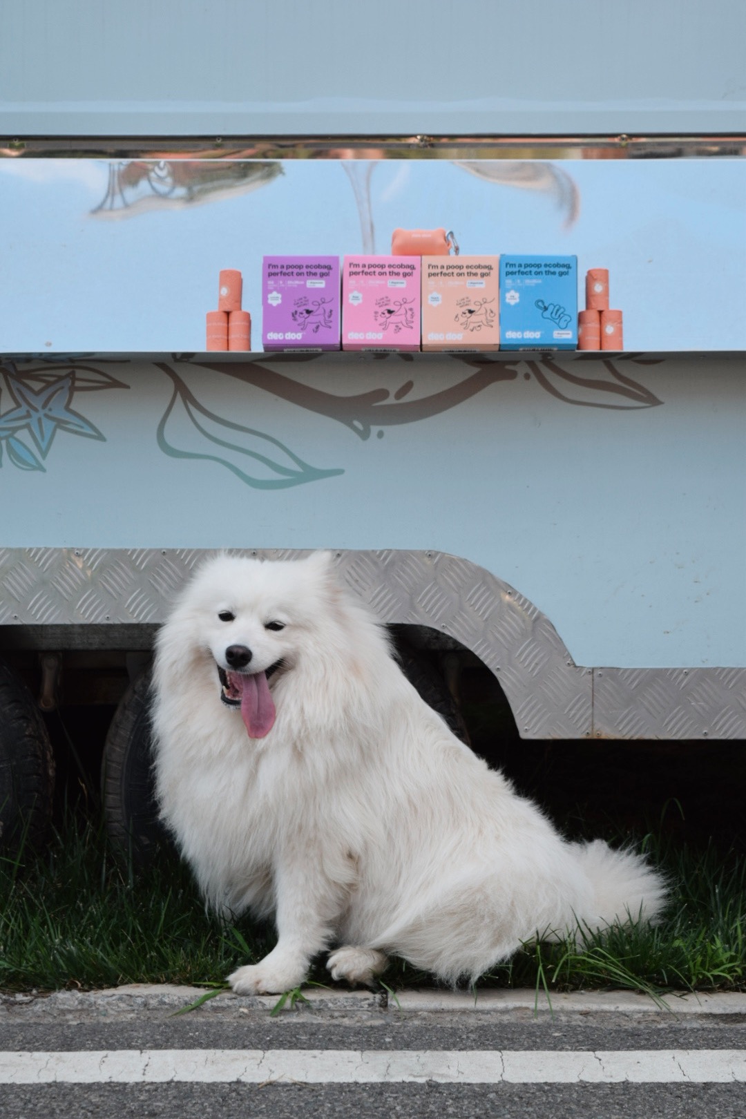 Reviewer's dog