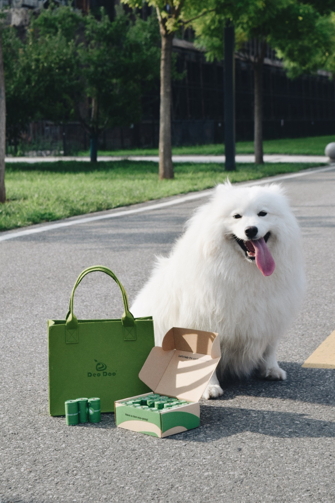 Reviewer's dog